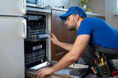 Professional Appliance Service